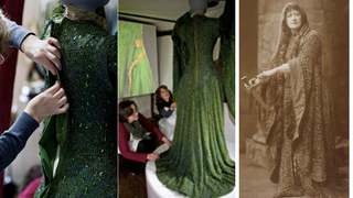 Beetle-Covered Gown Returned To Former Glory